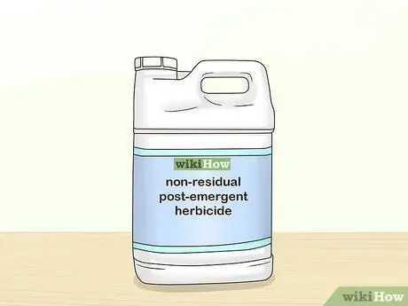 Посадить полевые цветы Шаг 5