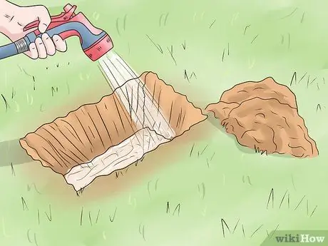 Сажать полевые цветы Шаг 6