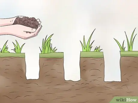 Сажать полевые цветы Шаг 7