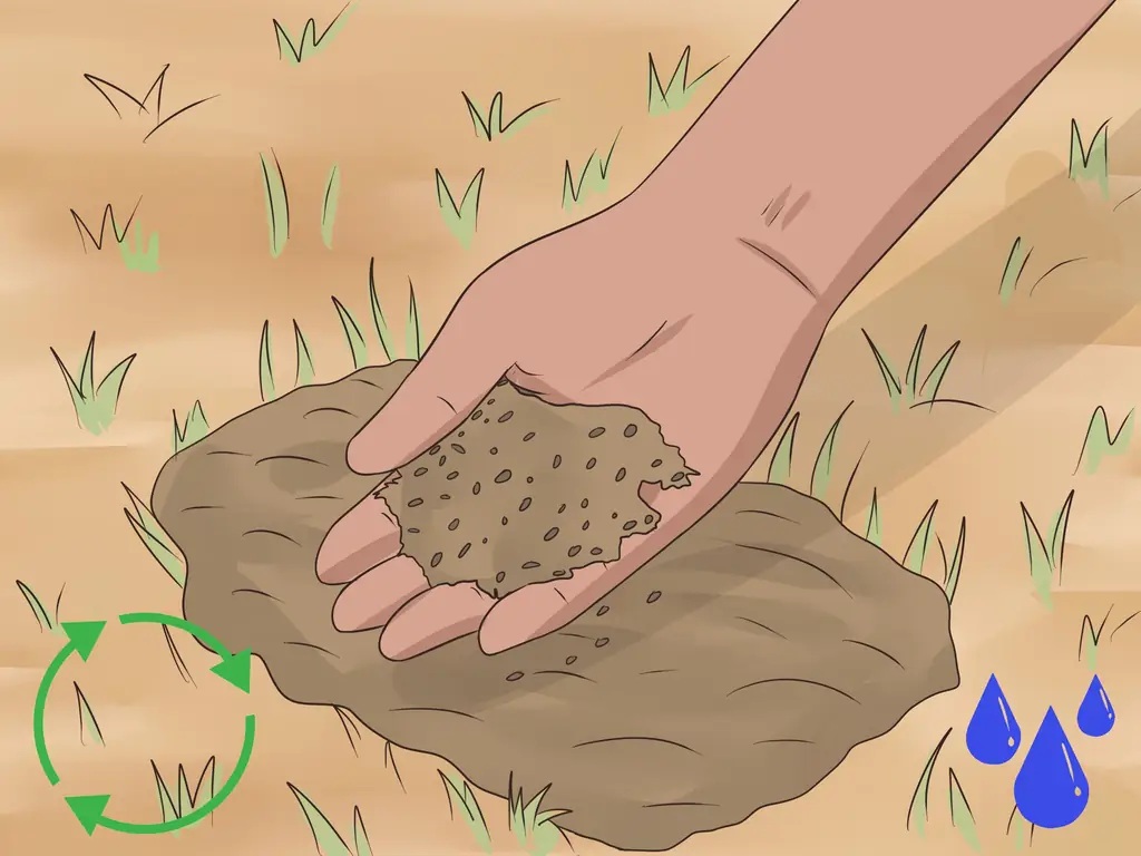 Как сажать полевые цветы (с иллюстрациями)