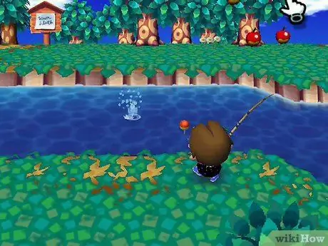 Разбогатейте в Animal Crossing Wild World, шаг 3