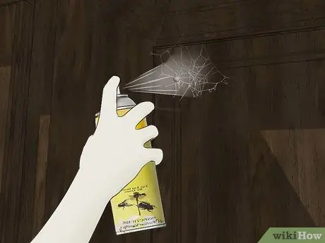 Убить паучьи яйца, шаг 9