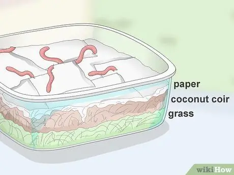 Feed Worm Farm Worms Шаг 4