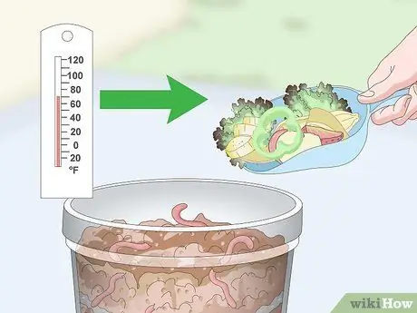 Feed Worm Farm Worms Шаг 7