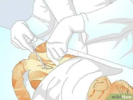 Удаление Cat Spray Шаг 11