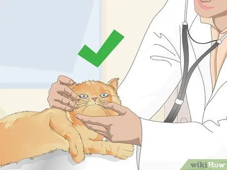 Удаление Cat Spray Шаг 13