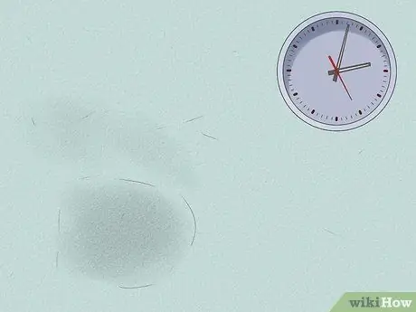 Нейтрализовать запах мочи собаки Шаг 10