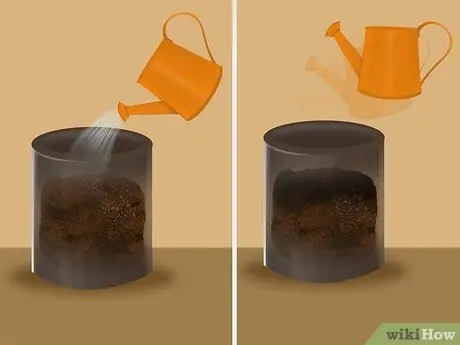 Компост из собачьих какашек Шаг 5