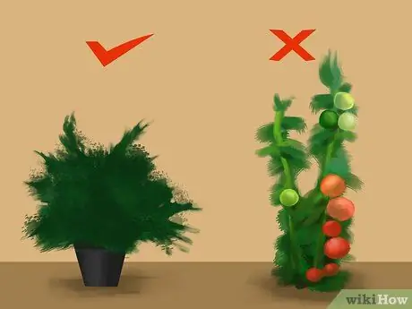 Компост из собачьих какашек Шаг 7