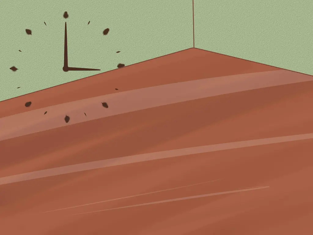 Как красить деревянный пол вручную: 9 шагов (с иллюстрациями)