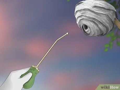 Убить шершневое гнездо, шаг 10