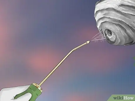 Убить шершневое гнездо, шаг 11