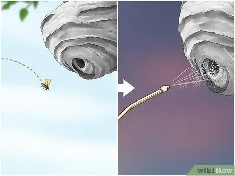 Убить шершневое гнездо, шаг 12