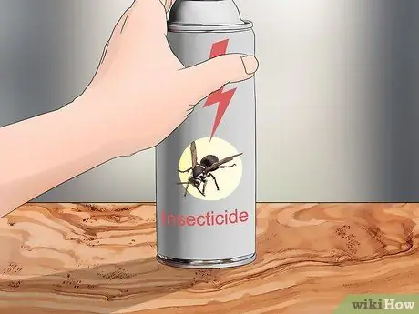 Убить шершневое гнездо, шаг 13