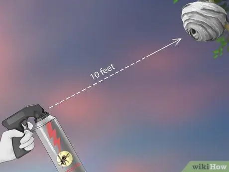 Убить шершневое гнездо, шаг 14