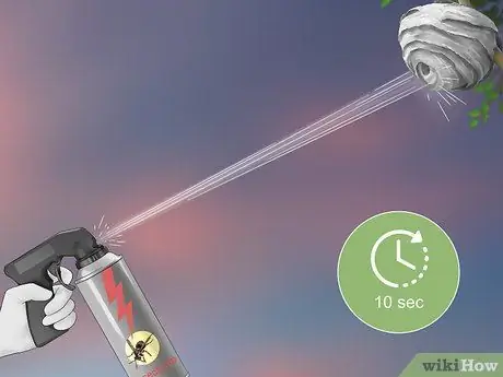 Убить шершневое гнездо, шаг 15