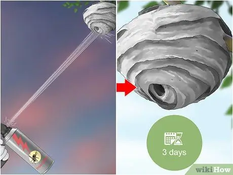 Убить шершневое гнездо, шаг 17