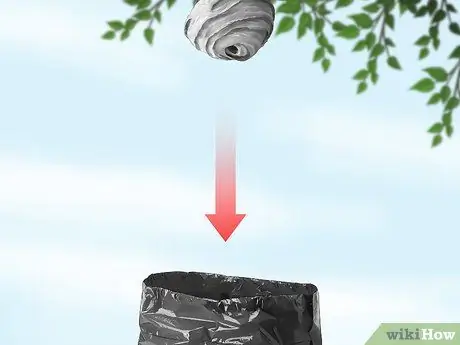 Убить шершневое гнездо, шаг 18