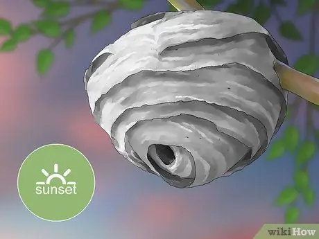 Убить шершень, шаг 3