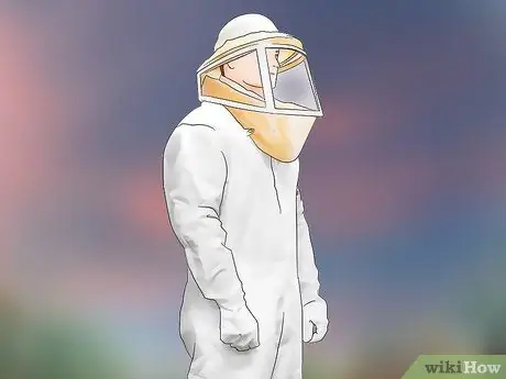 Убить шершневое гнездо, шаг 4