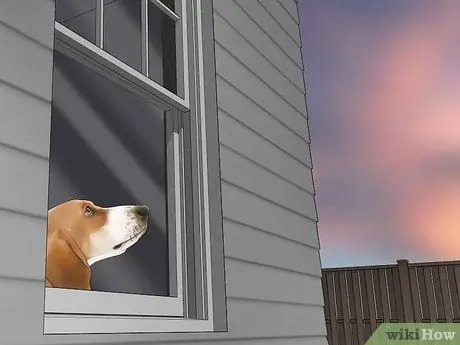 Убить шершневое гнездо, шаг 5