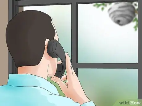 Убить шершневое гнездо, шаг 7