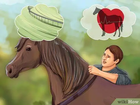 Ставка на живые скачки Шаг 6