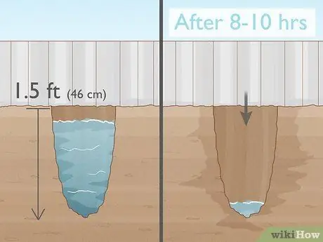 Посадить клен Шаг 4