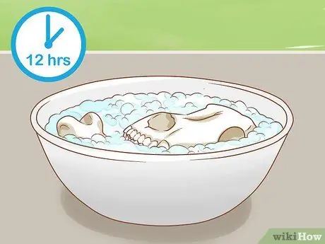 Чистые кости, шаг 10 Чистые кости, шаг 10
