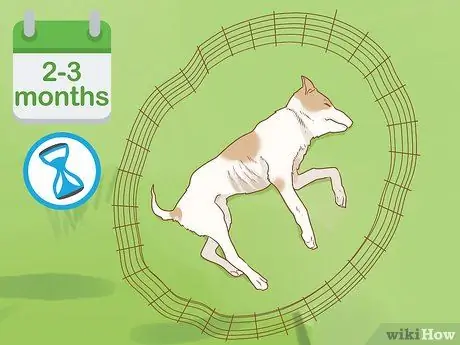 Чистые кости, шаг 2 Чистые кости, шаг 2