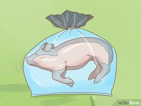 Чистые кости, шаг 3 Чистые кости, шаг 3
