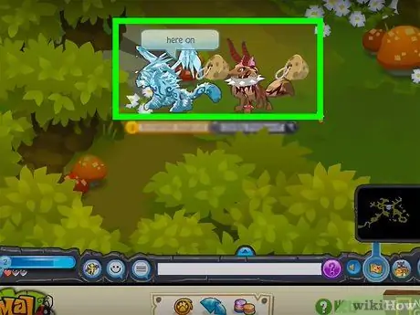 Получите редкие наземные приключения в Animal Jam, шаг 10