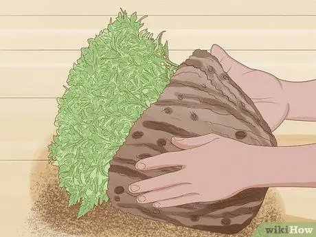 Уход за мамами Шаг 1