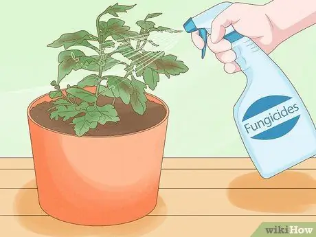 Уход за мамой Шаг 10