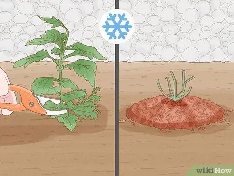 Уход за мамой Шаг 13