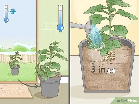 Уход за мамой Шаг 15