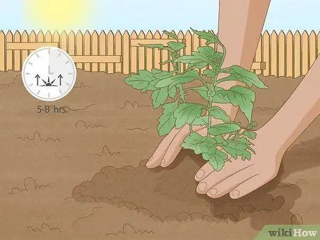 Уход за мамой Шаг 16