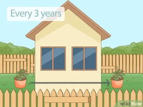 Уход за мамой Шаг 19