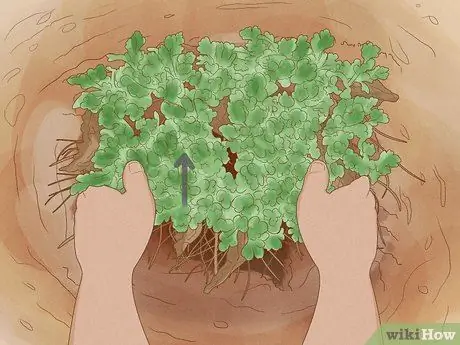 Уход за мамами Шаг 2