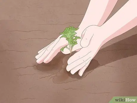 Уход за мамами Шаг 4