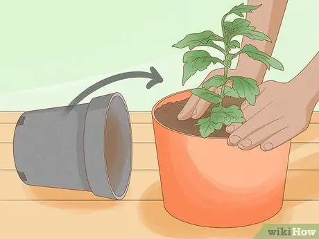 Уход за мамами Шаг 6