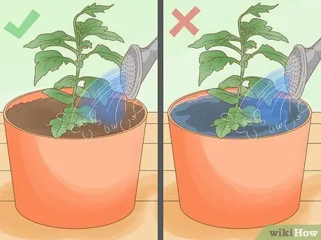 Уход за мамами Шаг 7