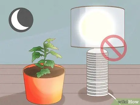 Уход за мамой Шаг 8