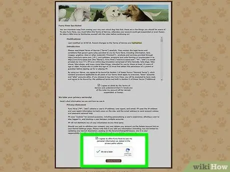 Приступайте к работе с Furry Paws, шаг 2