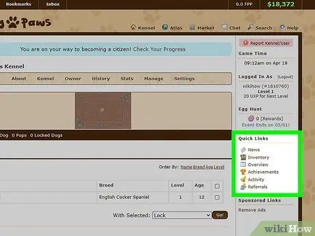 Приступайте к работе с Furry Paws Шаг 6