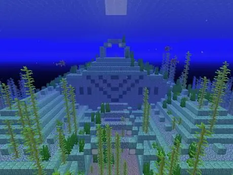 Oceanmonu