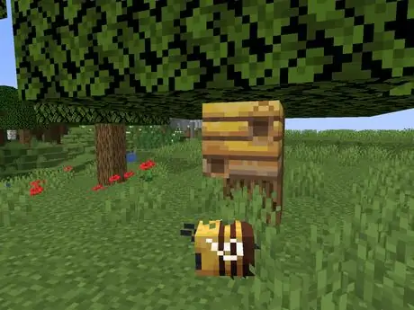 1_bees_nest_wild_
