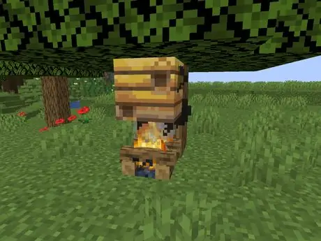 3campfirenest