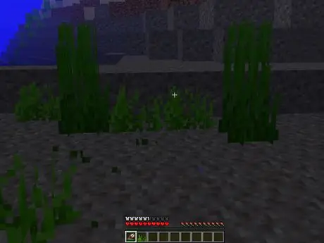 Collectingseagrass
