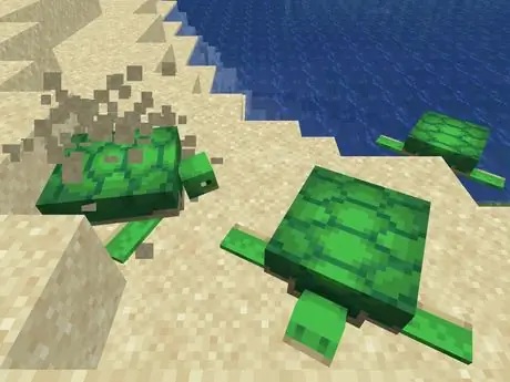 Turtledigging